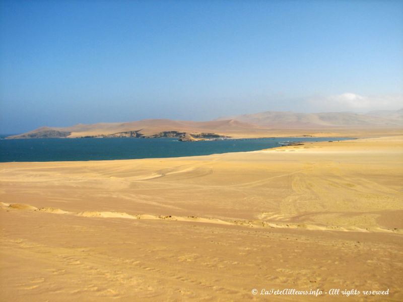 Paracas, une réserve et des plages superbes !