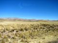 Paysages de l'Altiplano péruvien