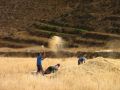 Paysans péruviens de la vallée de Colca
