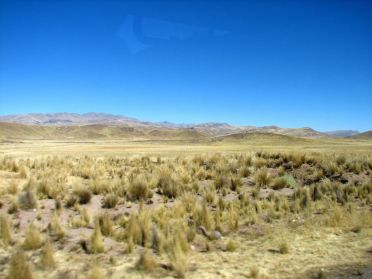 Paysages de l'Altiplano p&eacute;ruvien