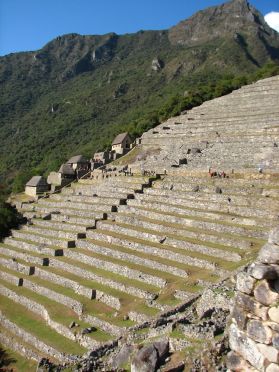 Les terrasses cultiv&eacute;es, typiques de la civilisation inca
