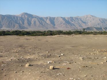 A Chauchilla, de nombreux ossements jonchent le sable du d&eacute;sert
