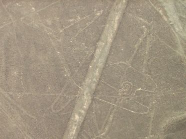 Premi&egrave;res lignes vues du ciel : la baleine