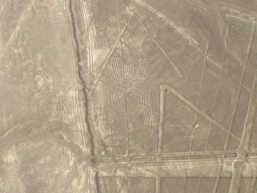 La c&eacute;l&egrave;bre araign&eacute;e