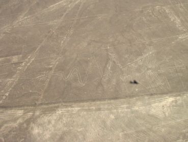 Un oiseau-serpent de plus de 200 mètres !