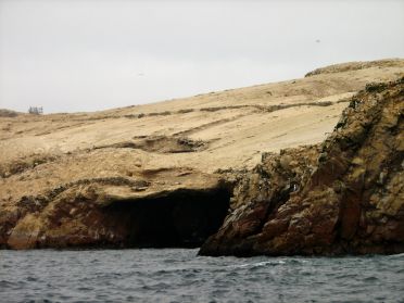 Et tous ces oiseaux ont recouvert les &icirc;les de leurs fientes