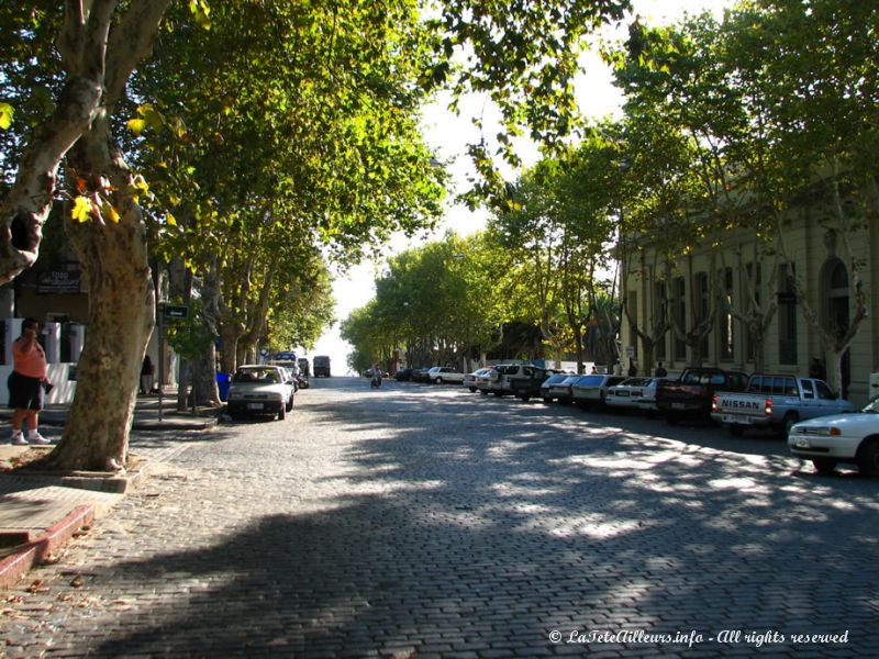 La rue principale de Colonia, qui, comme toutes les rues ici, est bordée de platanes et donne sur la mer