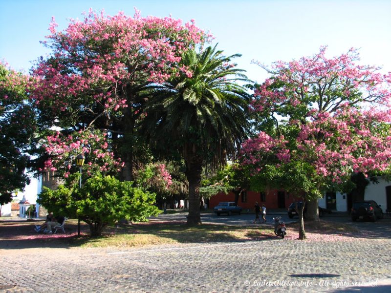 La place principale de la vieille ville