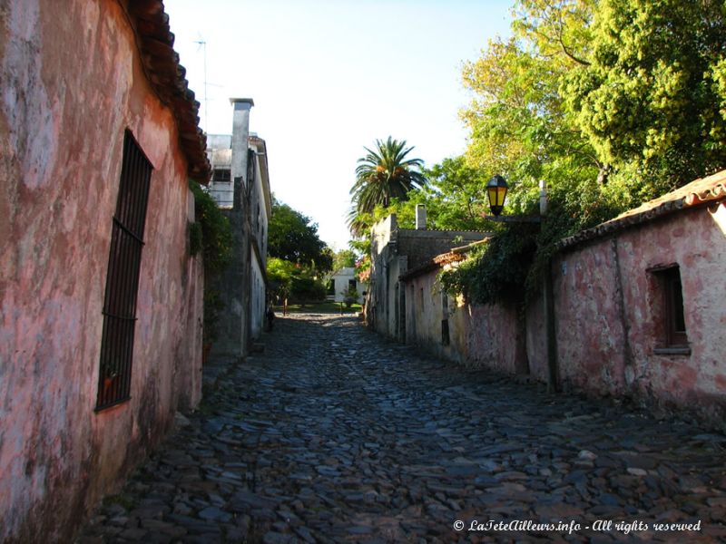 Une des plus belles rues de Colonia