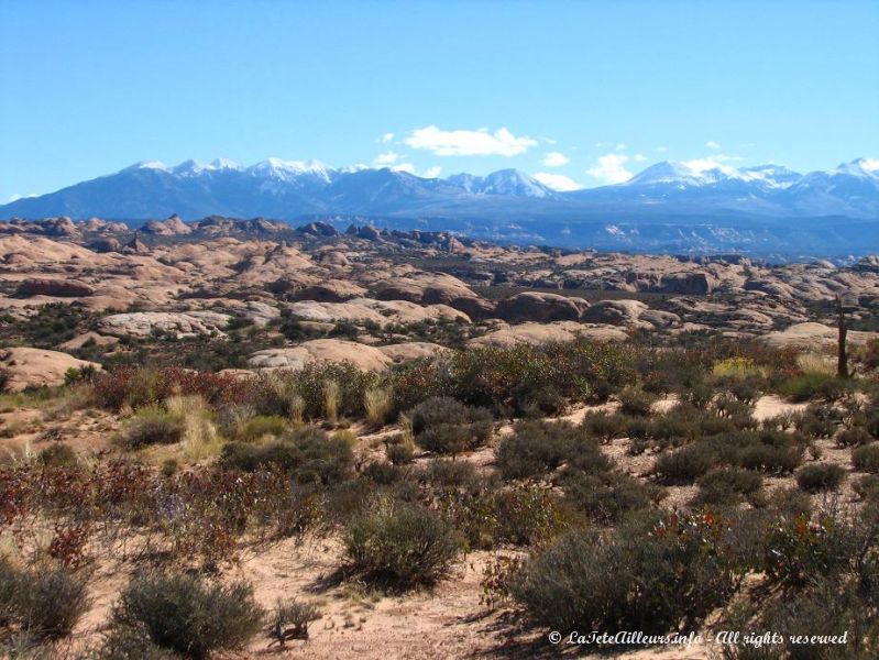 Les Petrified Dunes