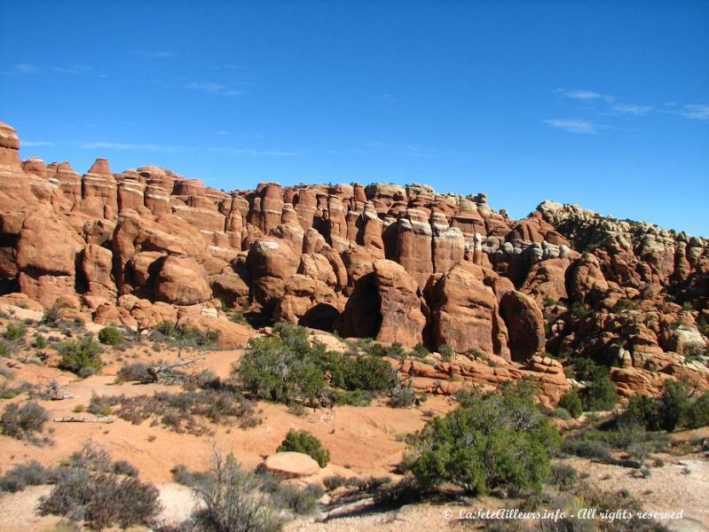 Les Fiery Furnace