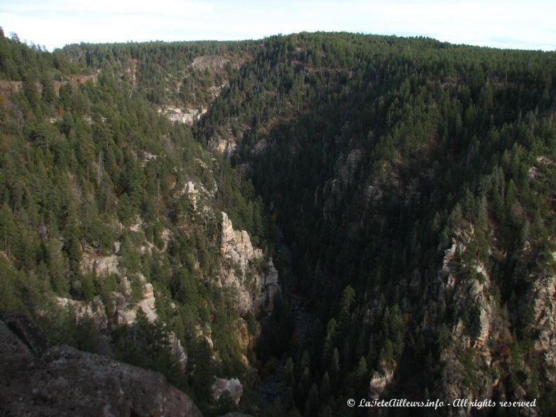 Le canyon vu du Oak Creek Vista Point