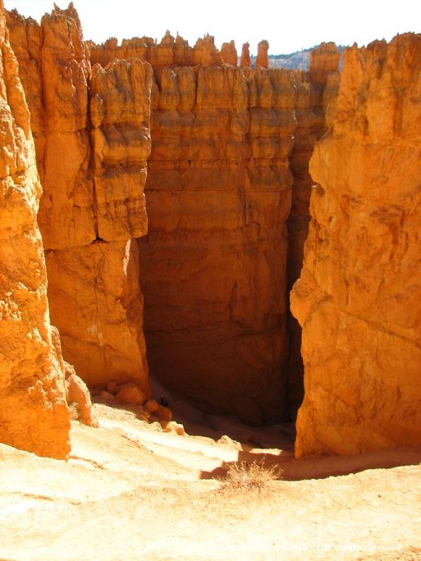 Ce chemin en lacet descent au coeur des impressionnantes formations rocheuses de Bryce Canyon