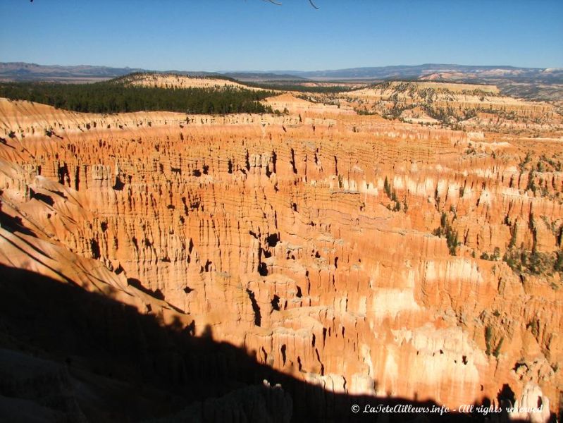 L'amphitheatre du Bryce Canyon vu depuis le Bryce Point