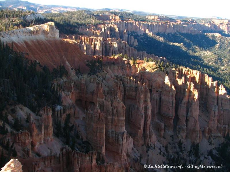 Le Black Birch Canyon