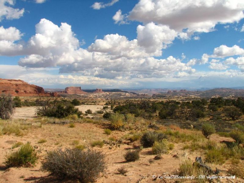 La route qui nous mene a Canyonlands traverse un desert de toute beaute