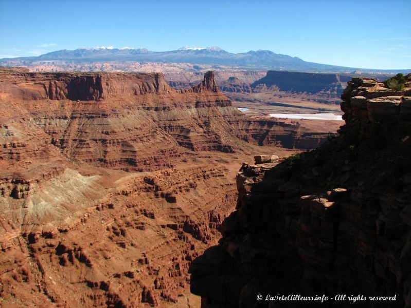 Un superbe panorama s'offre a nous depuis le Dead Horse Point