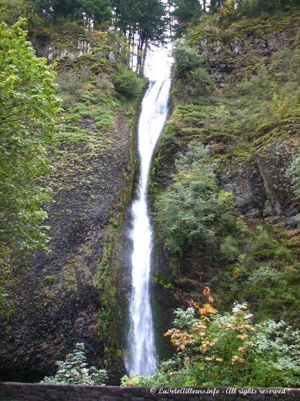 Les chutes Horsetail