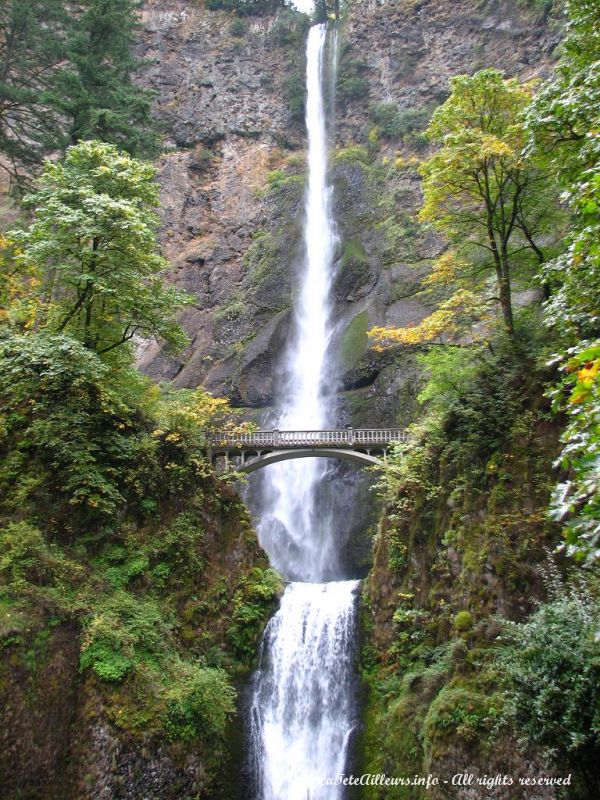 Les chutes Multnomah