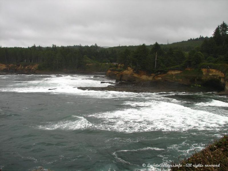 Cote Pacifique de la Depoe Bay