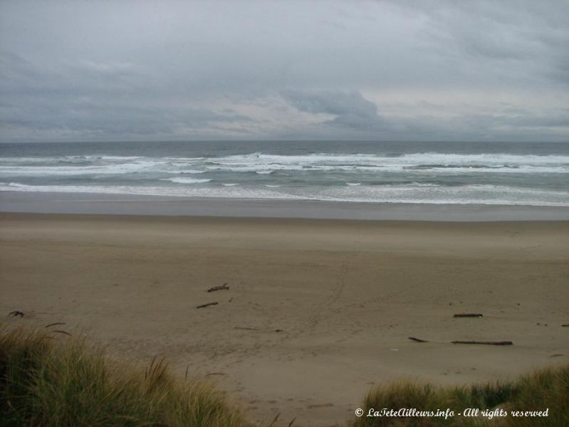 Les dunes de l'Oregon et l'ocean Pacifique nous tendent les bras