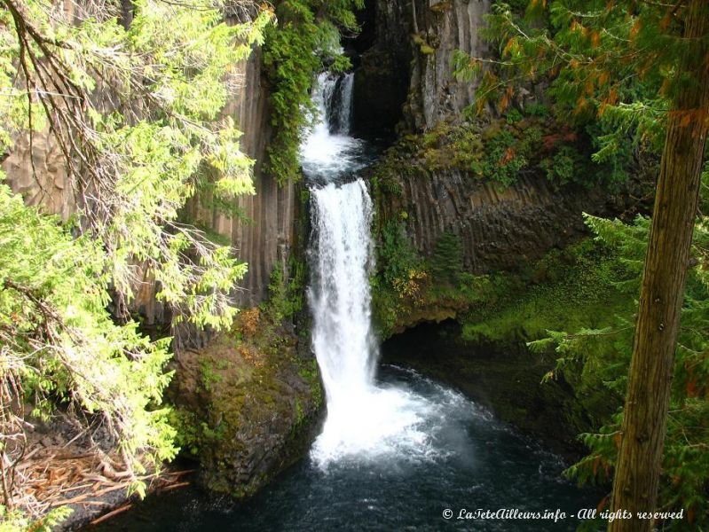 Les chutes Toketee