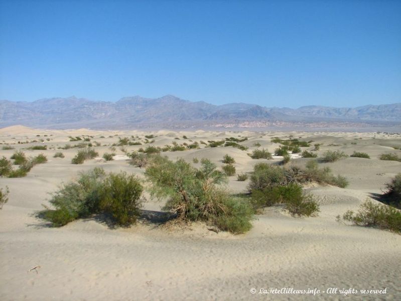 Les Sand Dunes, spectacle etonnant en plein desert !