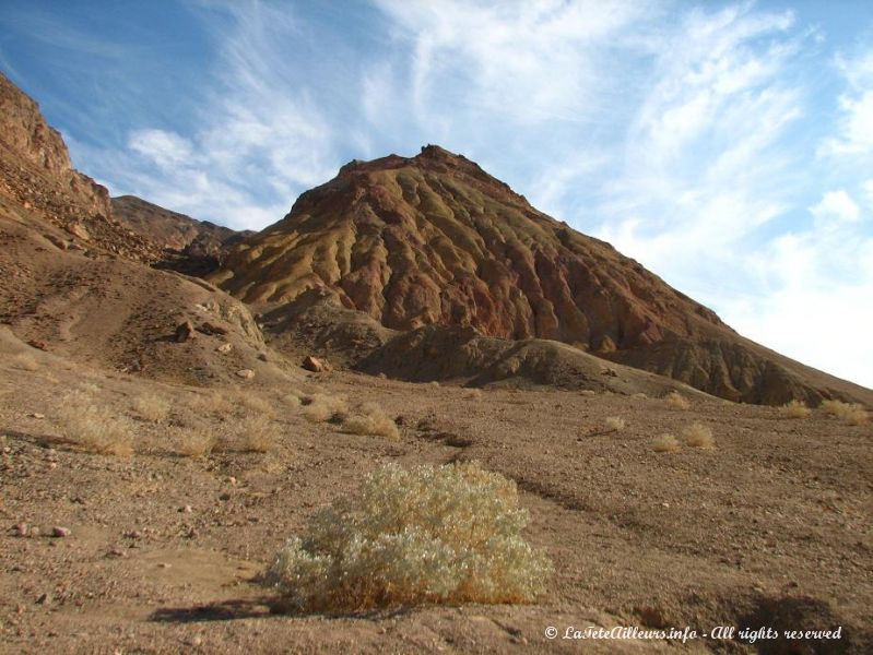 Paysage typique de la Death Valley