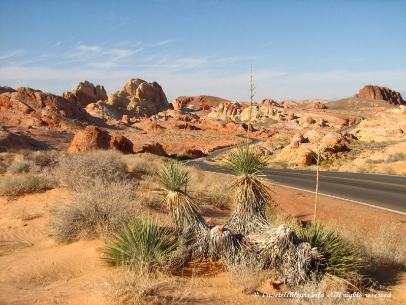 La route menant au White Domes est spectaculaire