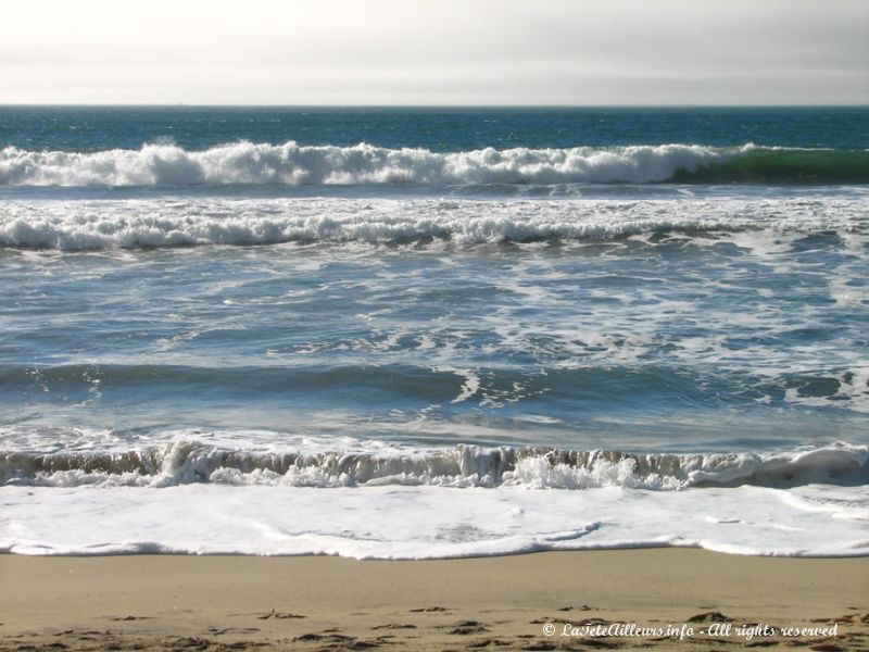 Ces grosses vagues font le bonheur des surfeurs californiens