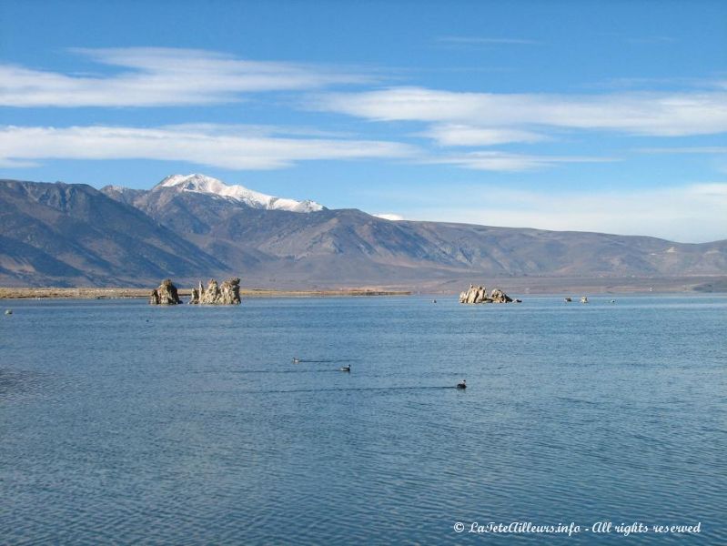 Le Mono Lake et ses concretions calcaires