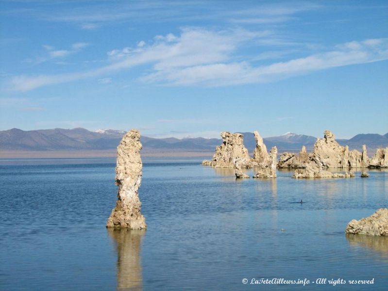 D'impressionnantes concretions calcaires emergent des eaux du lac