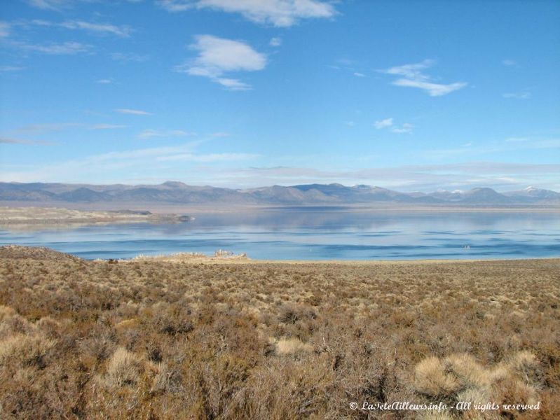 La rive ouest du Mono Lake