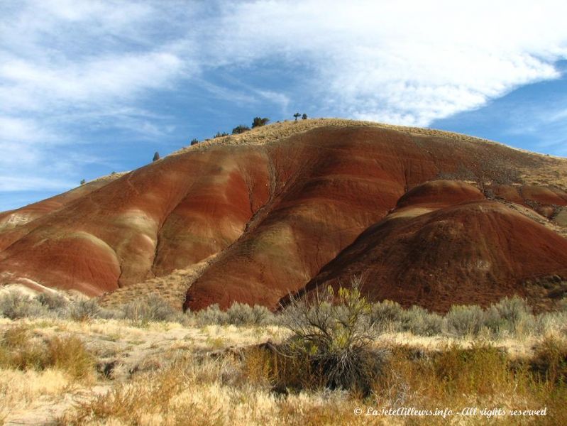 Une dune de Painted Hills