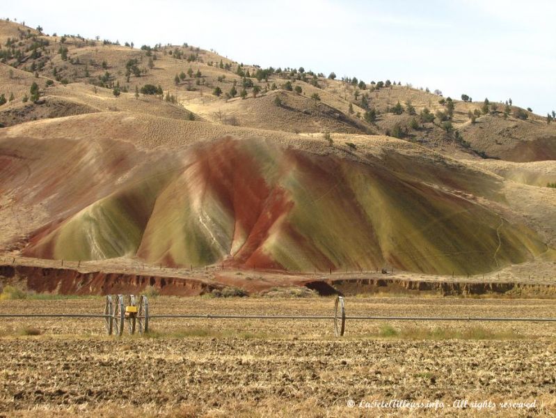 Des couleurs etonnantes au milieu du desert !