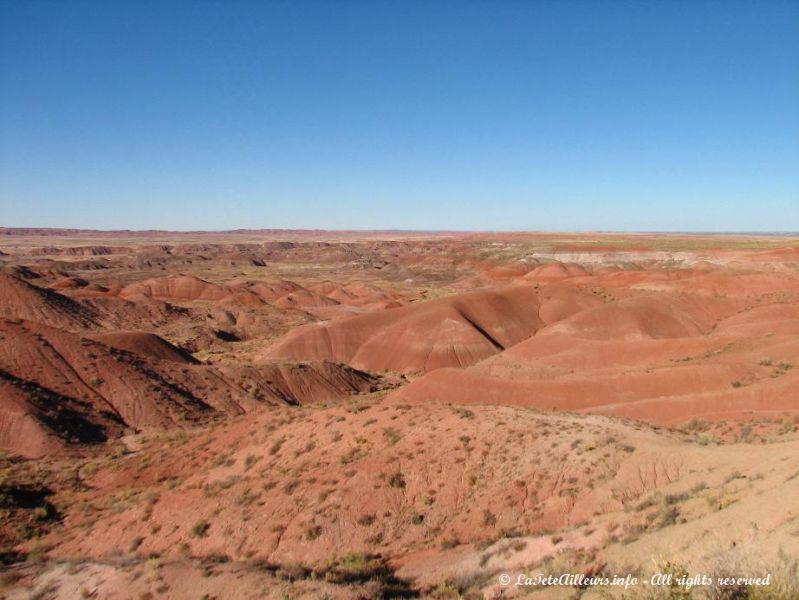 Le desert s'est ici parre de rose