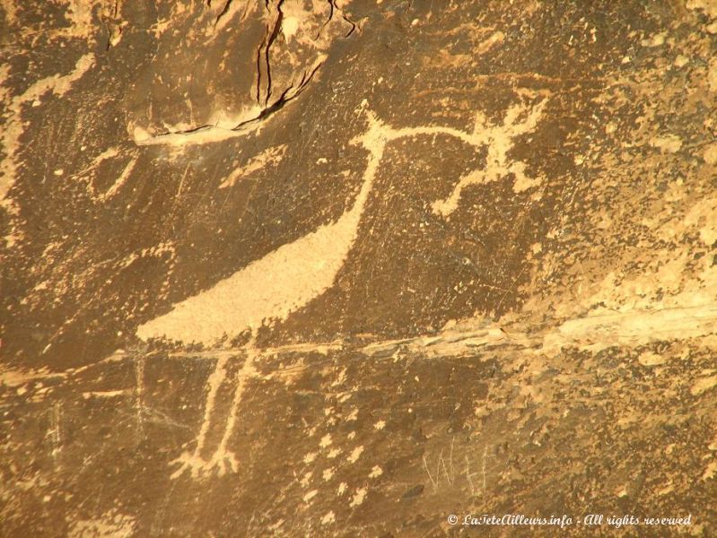 Un petroglyphe indien datant de 1250