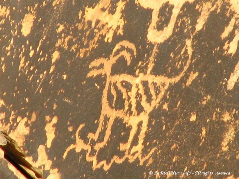 Ces petroglyphes semblent avoir ete dessines par des enfants !