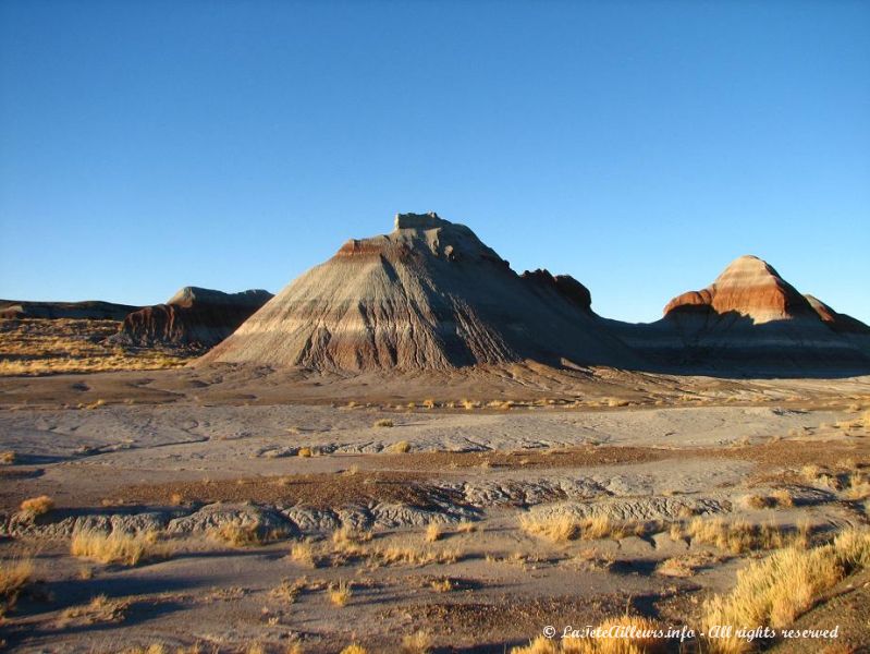 Collines bariollees de la Petrified Forest