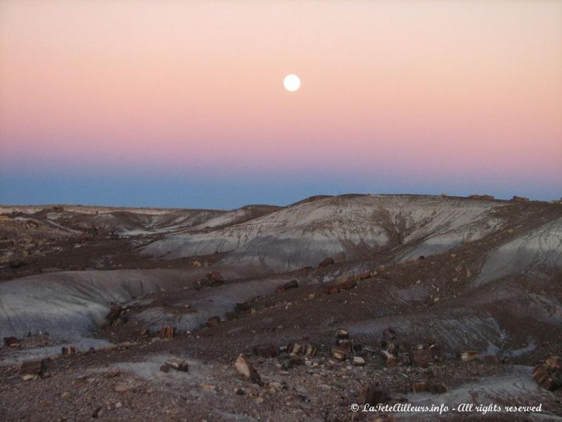 Lever de lune sur la Crystal Forest