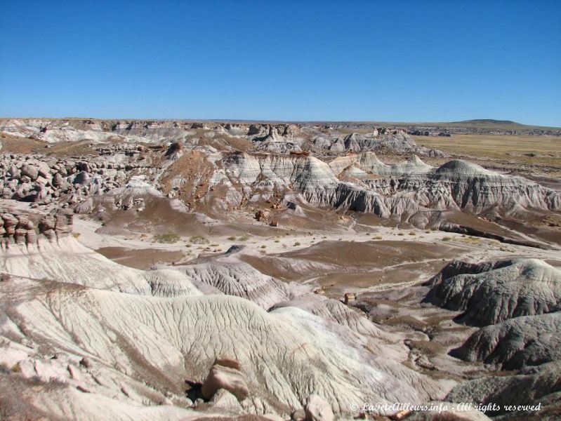 Paysage extraterrestre du Petrified Forest National Park