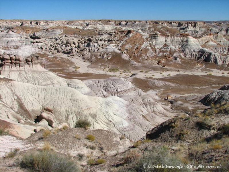 Au Blue Mesa, les couleurs sont incroyables !