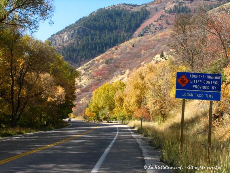 Ca vous dit d'adopter une autoroute ?