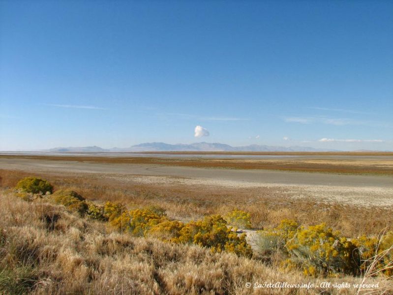 Arrivee a Antelope Island, ile du Grand Lac Sale