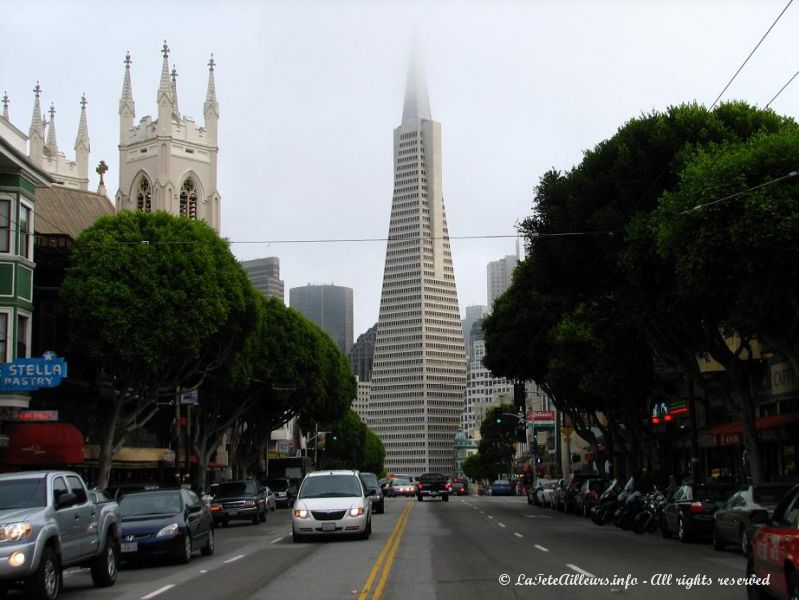 Vue sur la Pyramide depuis North Beach, le quartier italien de San Francisco