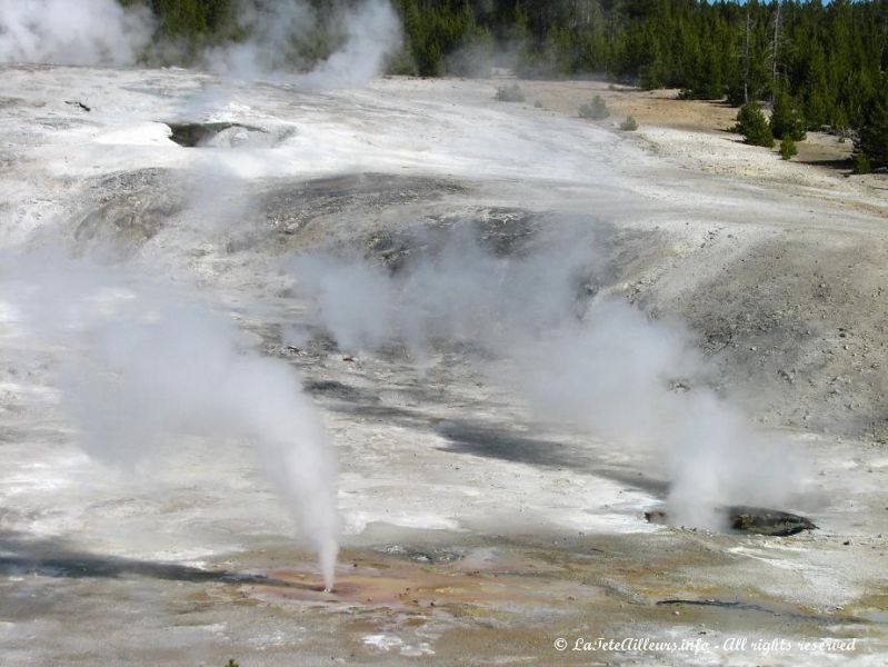 Premiers geysers a Porcelain Basin