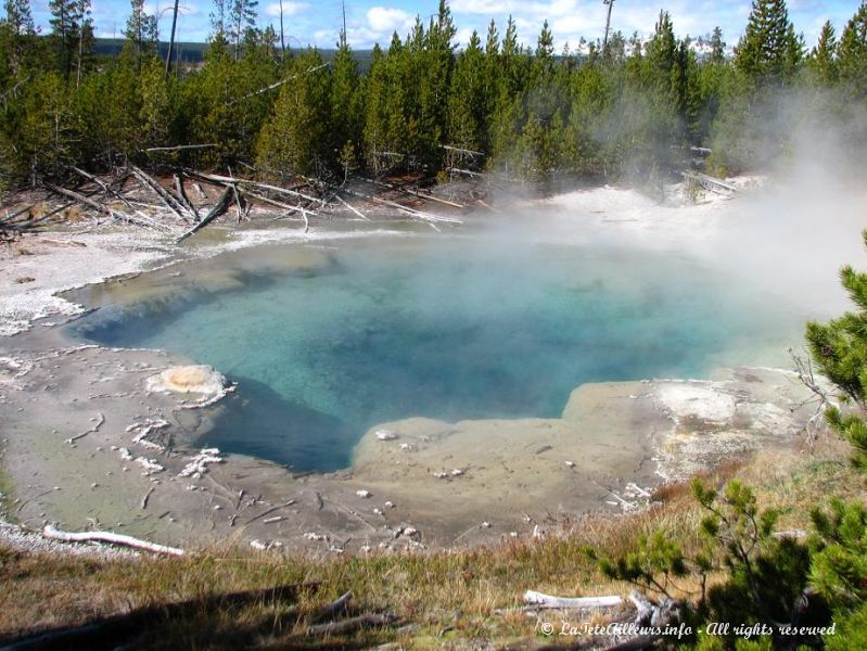 Une source du Back Basin