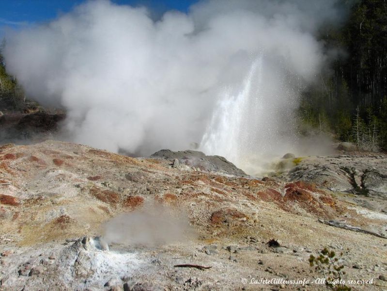 Un petit geyser du Back Basin