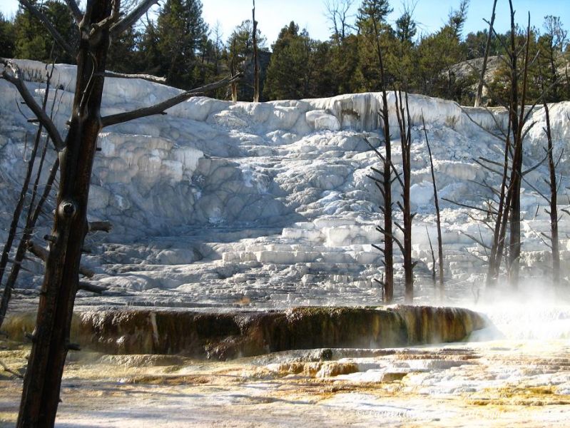 Les nombreux bassins de Mammoth Hot Springs