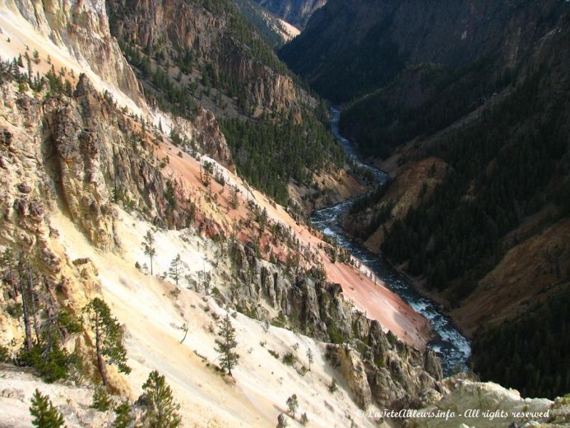 Les couleurs du canyon de Yellowstone  sont surprenantes